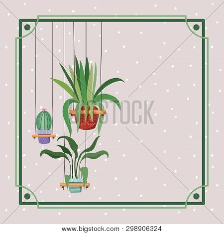 Frame With Houseplants And Cactus Hanging In Macrame Vector Illustration Design
