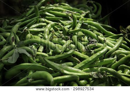 A Heap Of Fresh Green Fava Bean Pods In The Market In Lebanon.
