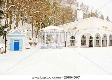 Iwonicz Zdroj - spa-by i det sydlige Polen - mineralvand pumpe-værelse (