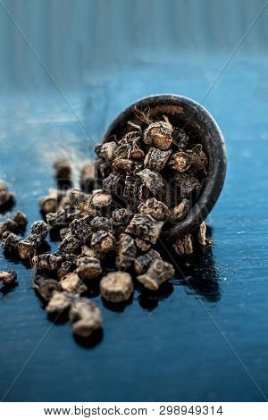 Popular Indian & Asian Ayurvedic Organic Herb Musli Or Chlorophytum Borivilianum Or Curculigo Orchio