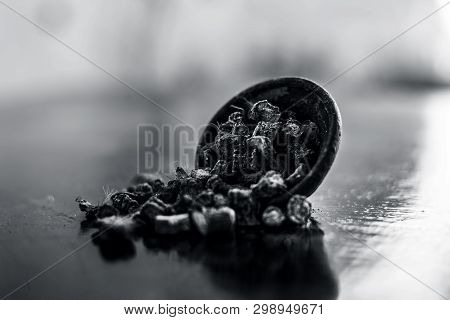 Popular Indian & Asian Ayurvedic Organic Herb Musli Or Chlorophytum Borivilianum Or Curculigo Orchio