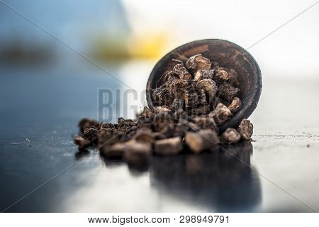 Popular Indian & Asian Ayurvedic Organic Herb Musli Or Chlorophytum Borivilianum Or Curculigo Orchio