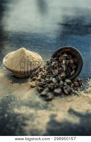 Popular Indian & Asian Ayurvedic Organic Herb Musli Or Chlorophytum Borivilianum Or Curculigo Orchio