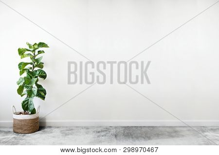 White empty room with a plant wall mockup