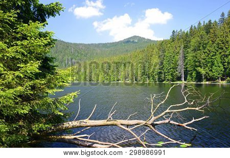 Moraine lake Grosser Arbersee in National park Bavarian forest. Germany.