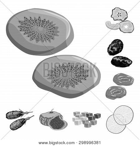 Vector Illustration Of Vitamin  And Nature  Logo. Set Of Vitamin  And Dried  Stock Vector Illustrati