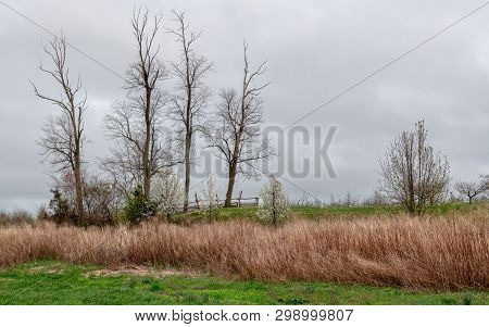 A Scenic Spring View In Monmouth Battlefield State Park In Manalapan New Jersey.