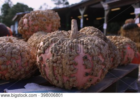 Ugly, Warty Pumpkins At The Produce Stand (img_1540)