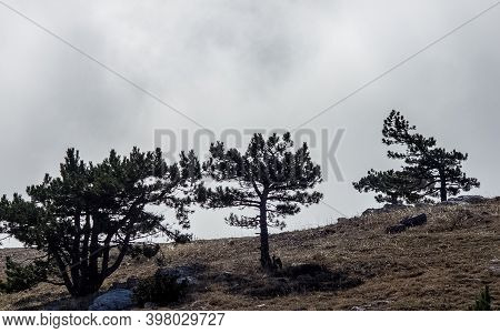 Mountains And Forests Of Crimea. Coniferous And Deciduous Trees On The Hills Of The Mountains And Ro