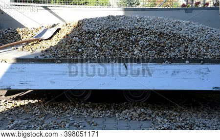 Delivery Of Gray River Pebbles Like Mulch To Flower Beds In The Garden Using A Wheelbarow From The B