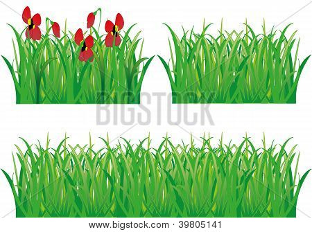 illustration vectorielle d'herbe verte