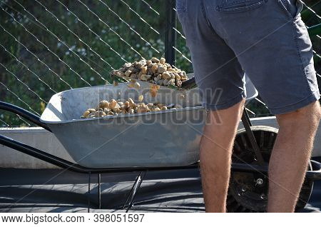 Delivery Of Gray River Pebbles Like Mulch To Flower Beds In The Garden Using A Wheelbarow From The B