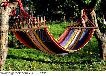 Rocking Chair, Hammock With Wooden Support Among The Trees In The Garden. View Of Naked Hairy White 