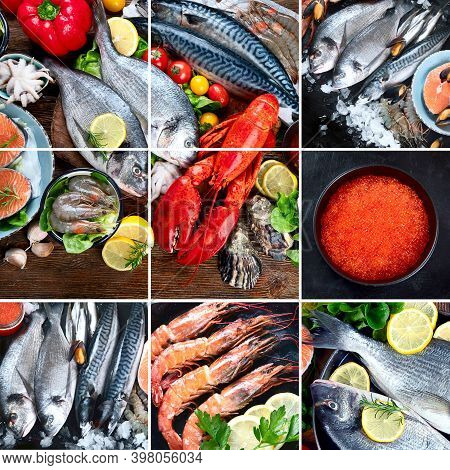 Collage Of Fresh Fish And Seafood