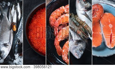 Collage Of Fresh Fish And Seafood