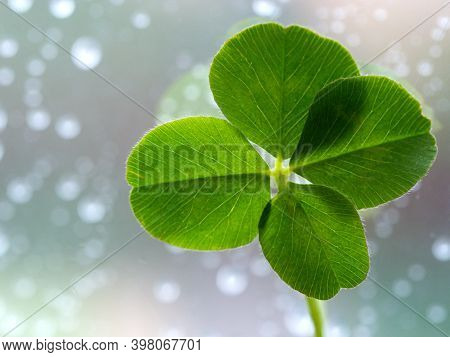 Four Leaf Clovers On Black Background With Gold Glitter And Shiny Bokeh, Closeup With Space For Text