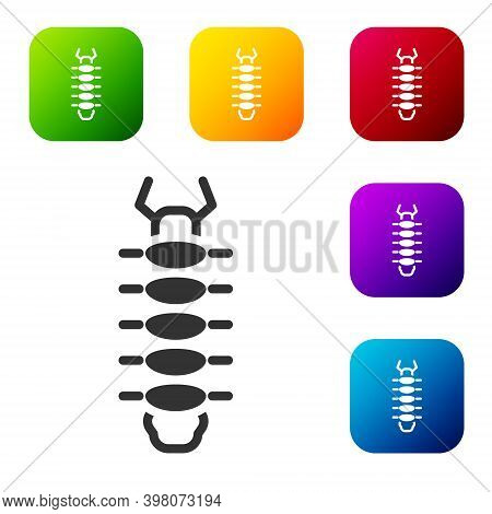 Black Centipede Insect Icon Isolated On White Background. Set Icons In Color Square Buttons. Vector