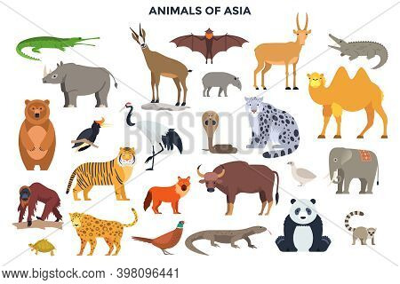 Bundle Of Funny Wild Animals And Birds Of Asia. Collection Of Exotic Fauna Of Asian Continent. Set O