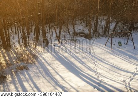 Tall Shadows From Trees As The Sun Sets On A Snow Covered Landscape In Torrington, Connecticut.