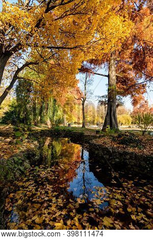 Landscape With The Lake And Vivid Green, Yellow, Orange And Brown Leaves In Large Trees In A Sunny A