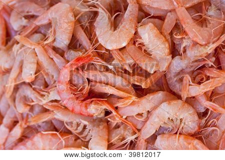 กุ้ง