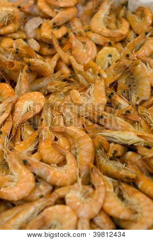 กุ้ง