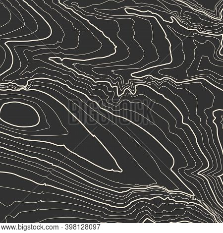 Grey Contours Vector Topography. Geographic Mountain Topography Vector Illustration. Topographic Pat