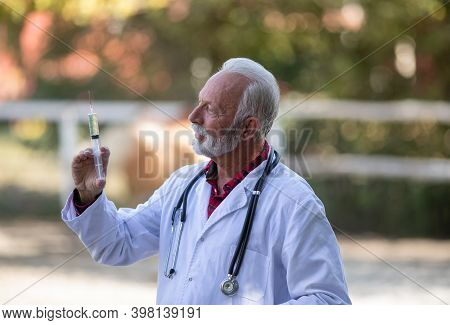 Matur Eveterinarian In White Coat Holding Syringe With Needle For Animal Vaccination On Farm