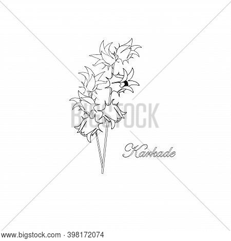 Roselle Flower Ink Hand Drawn Sketch Art Design Element Stock Vector Illustration For Web, For Print