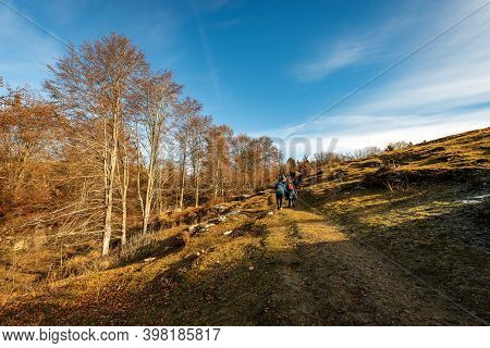 Group Of Hikers On The Trail In Autumn, Lessinia Plateau (altopiano Della Lessinia), Regional Natura
