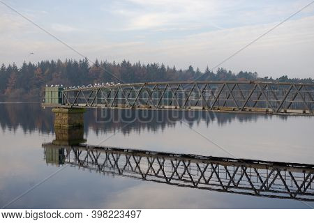 Iron And Steel Jetty Over Calm Water At Redmires Reservoirs. Large Group Of White Birds Settle On It