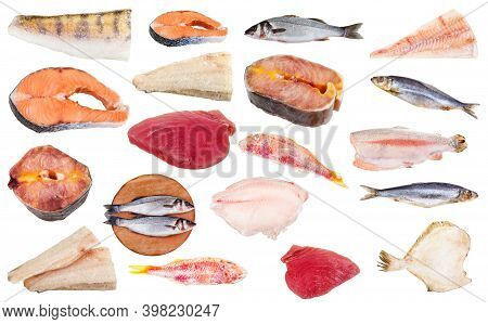 Set Of Frozen Raw Fishes (cod, Salmon, Zander, Pike-perch, Sturgeon, Tuna, Seabass, Trout, Red Mulle