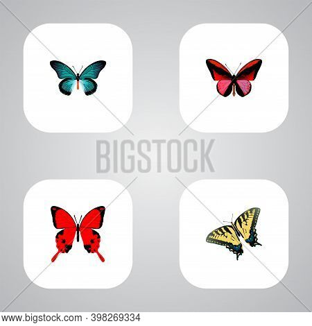 Set Of Beauty Realistic Symbols With Tailed-blue, Archippus, Agrias Claudina And Other Icons For You