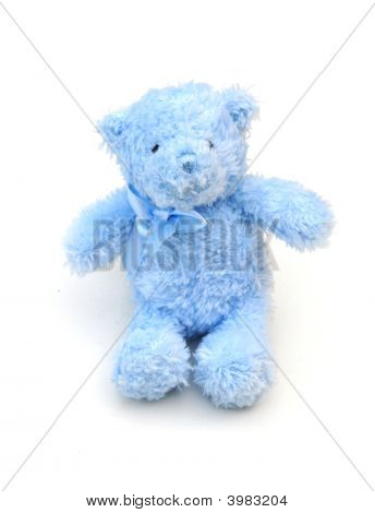blau bär