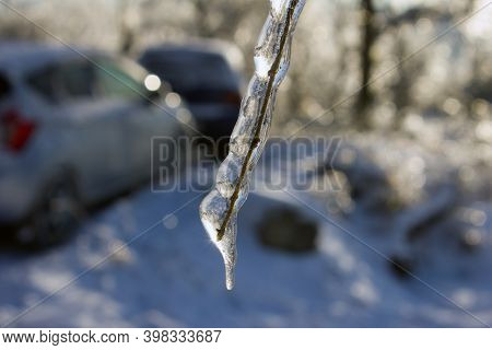 Icicle On Frozen Tree Branch Formed During A Freezing Rain.