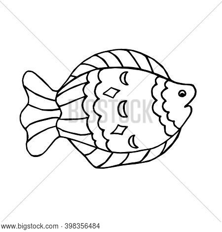 Hand-drawn Contour Vector & Photo (Free Trial) | Bigstock