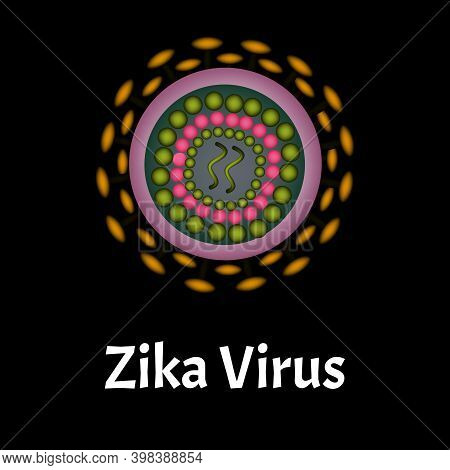 Zika Virus Structure. Zika Virus Infection. Sexually Transmitted Diseases. Infographics. Illustratio