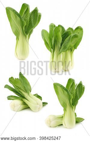 fresh Shanghai (small) paksoi on a white background