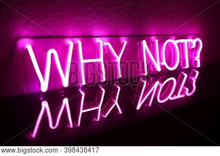 Pink Neon Sign Why Not?. Trendy Style. Neon Sign. Custom Neon. Home Decor.