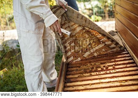 Beekeeper In Suit Is Working At Apiary. Opening Wooden Beehive Apiculture Concept