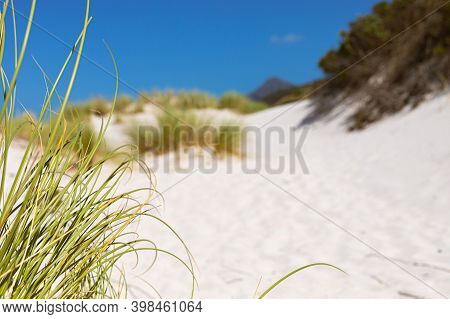 Coastal Sand Dune Landscape Of Fish Hoek, Cape Town