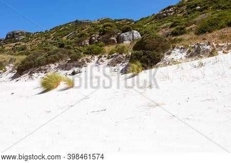 Coastal Sand Dune Landscape Of Fish Hoek, Cape Town
