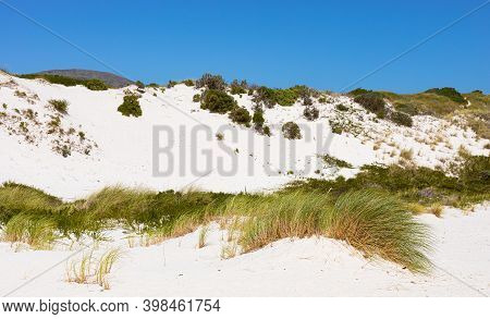 Coastal Sand Dune Landscape Of Fish Hoek, Cape Town