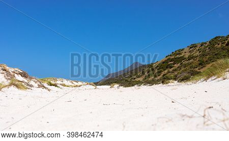 Coastal Sand Dune Landscape Of Fish Hoek, Cape Town