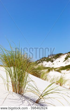 Coastal Sand Dune Landscape Of Fish Hoek, Cape Town