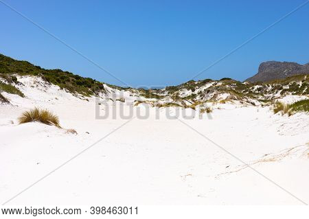 Coastal Sand Dune Landscape Of Fish Hoek, Cape Town