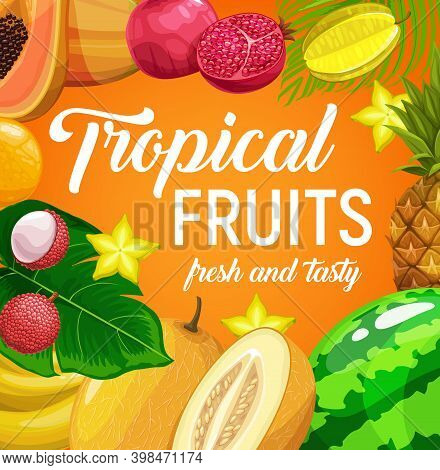 Tropical Fruits Vector Pineapple, Lychee, Orange And Carambola, Banana, Melon Watermelon And Pomegra