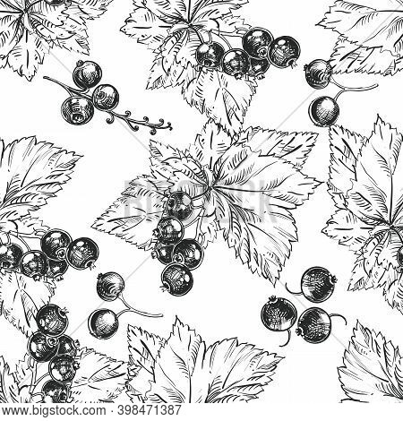 Detailed Hand Drawn Black And White Vector Seamless Pattern Of Berry, Cane Fruit. Sketch. Elements B