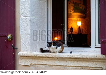 Colorful Cat Sitting On Window In Medieval Town Villeneuve Les Avignon In Summer