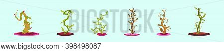 Set Of Beanstalk Cartoon Icon Design Template With Various Models. Modern Vector Illustration Isolat